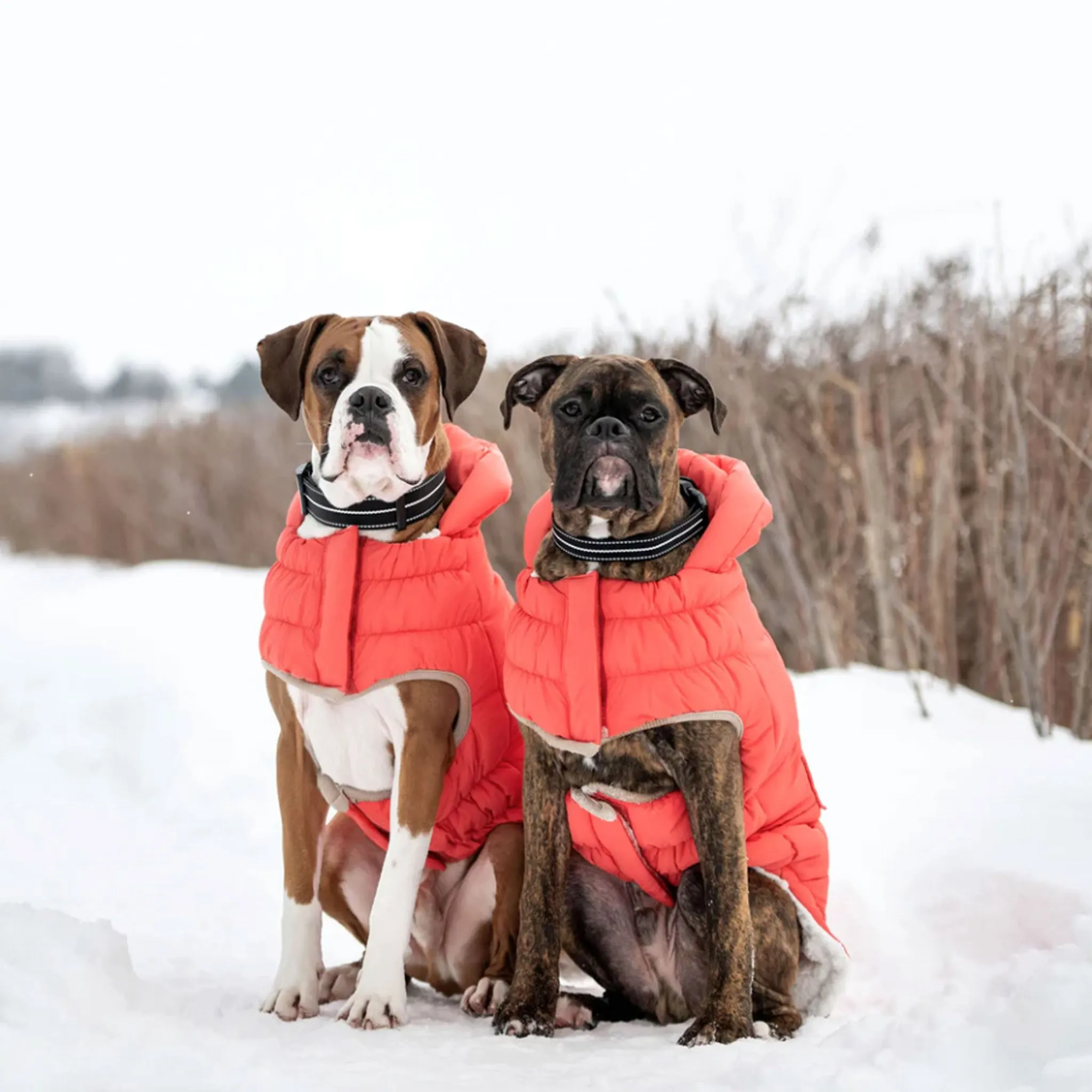 GF Pet ElastoFit Nordic Parka InFiber Tech - Cayenne