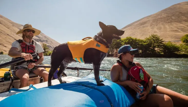 Ruffwear Float Coat Orange