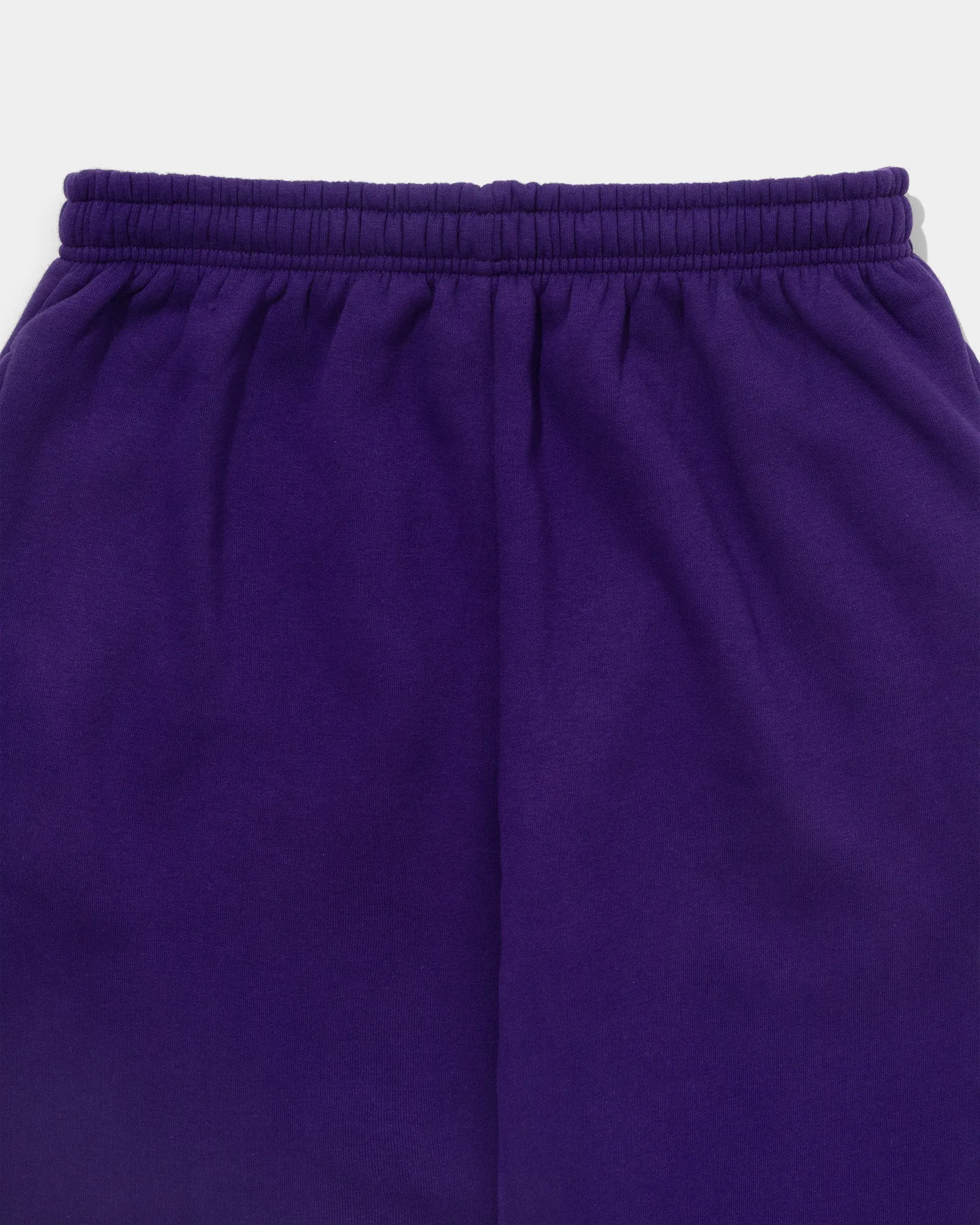 Worldwide Joggers (Purple)